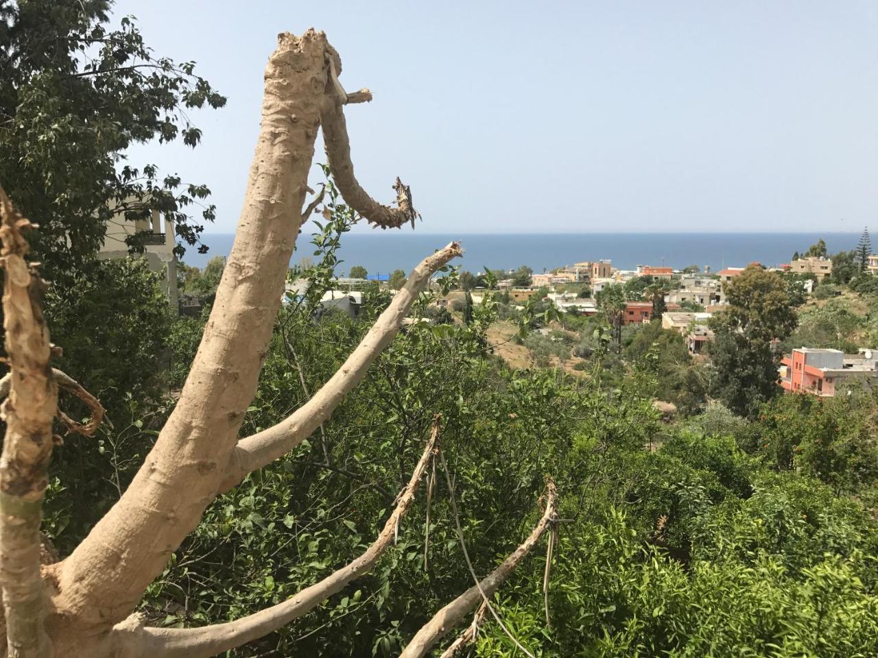 Luna Motel Naqoura Exterior foto